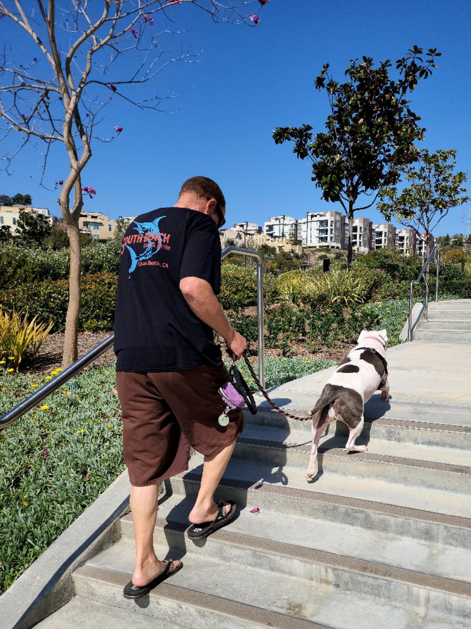 Civita Dog Park DogPack
