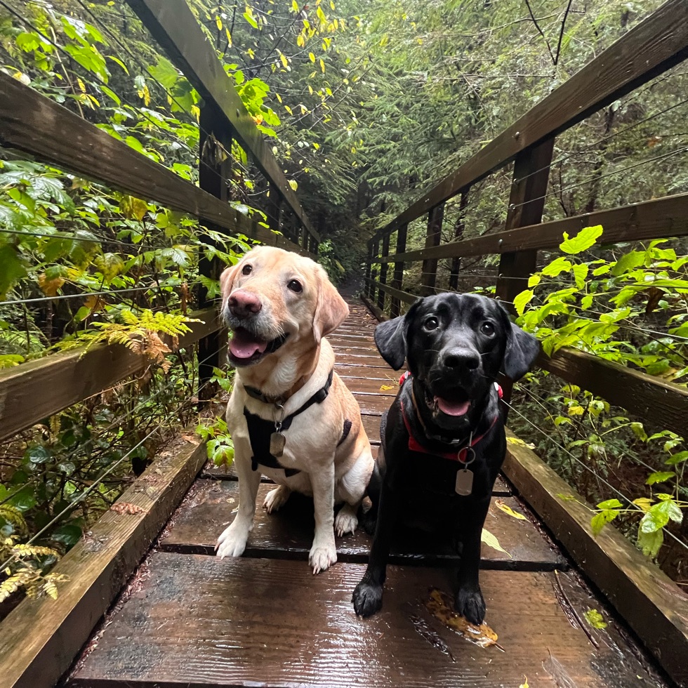 Image of Riverside Park, Everson park in everson, washington, united-states