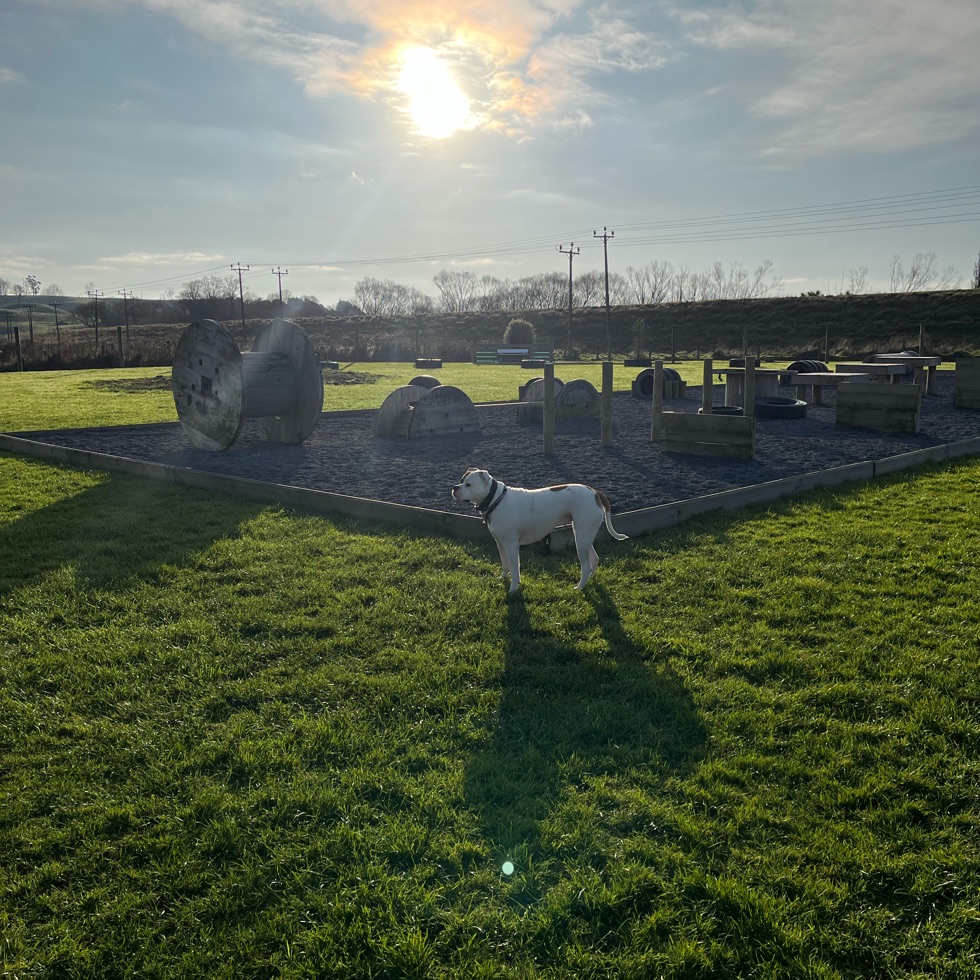 Balclutha Dog Park DogPack