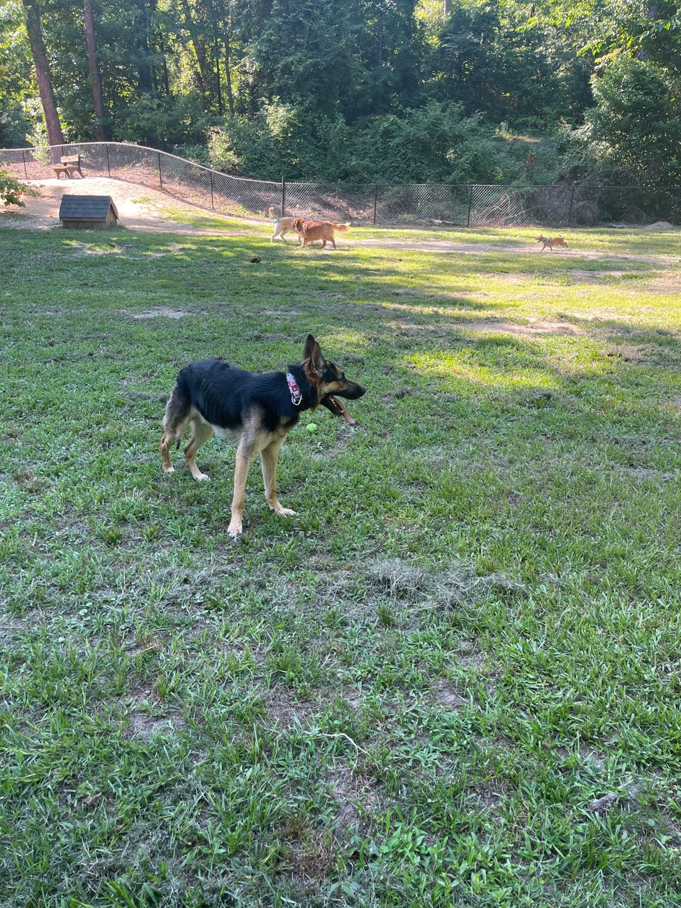 Image of North Augusta Bark Park park in North Augusta, South Carolina, United States Image of North Augusta Bark Park park in north-augusta, south-carolina, united-states