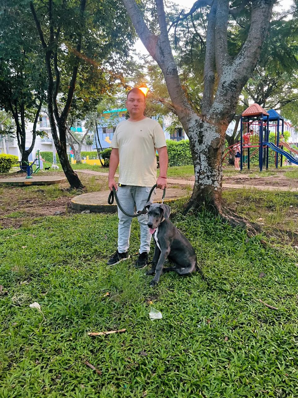 Image of Parque para perros Rincon de Piedra Pintada park in Ibague, Tolima, Colombia Image of Parque para perros Rincon de Piedra Pintada park in ibague, tolima, colombia