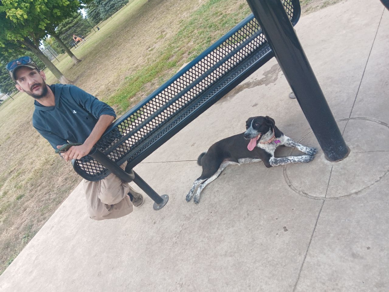 Image of Maxwell Park Dog Park park in normal, illinois, united-states