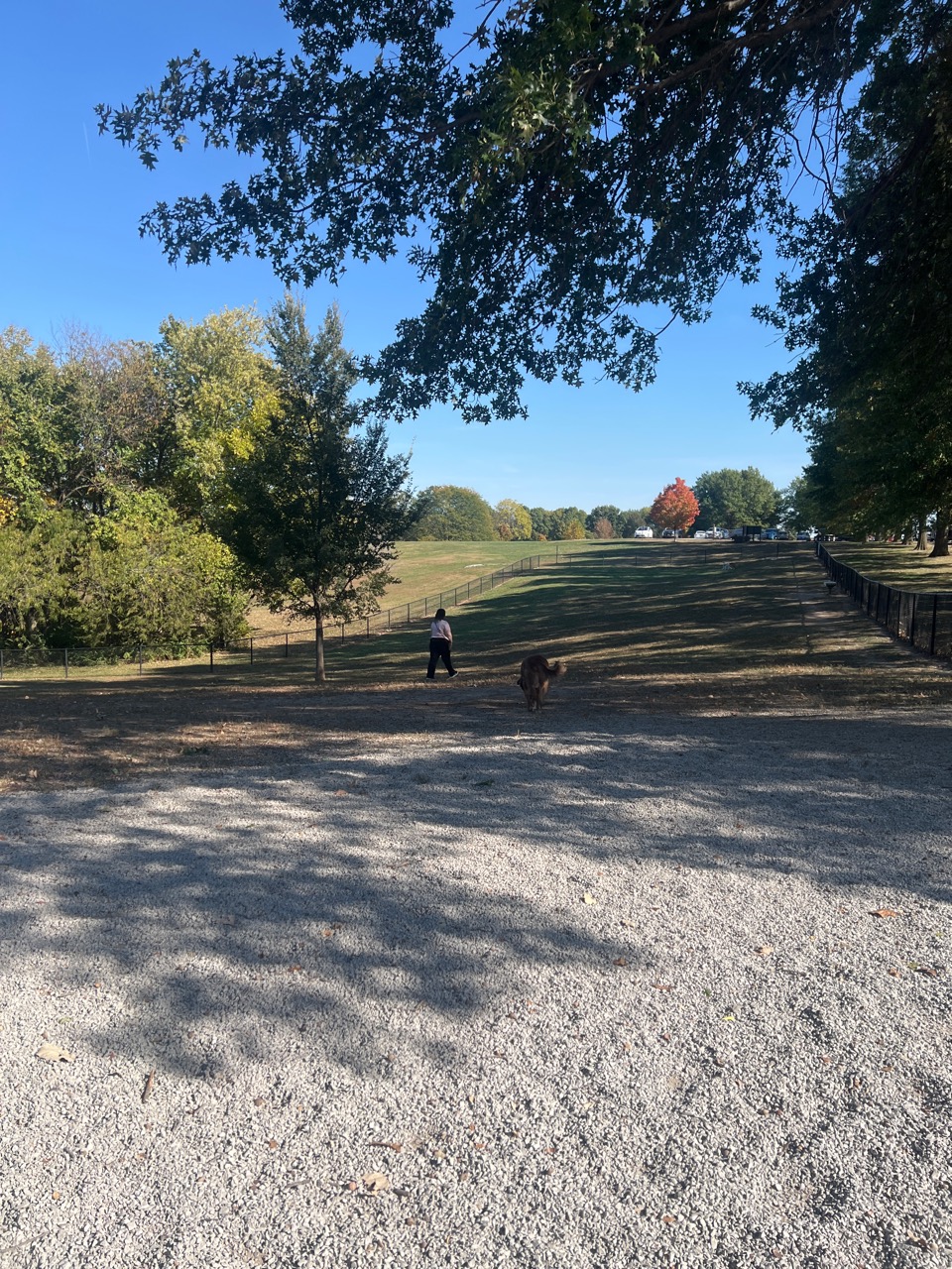 Image of Liberty Dog Park park in liberty, indiana, united-states