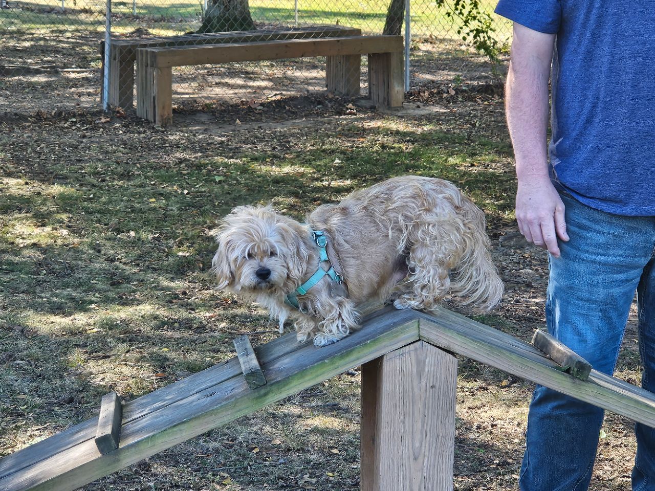 Image of Lake Guntersville State Park park in guntersville, alabama, united-states