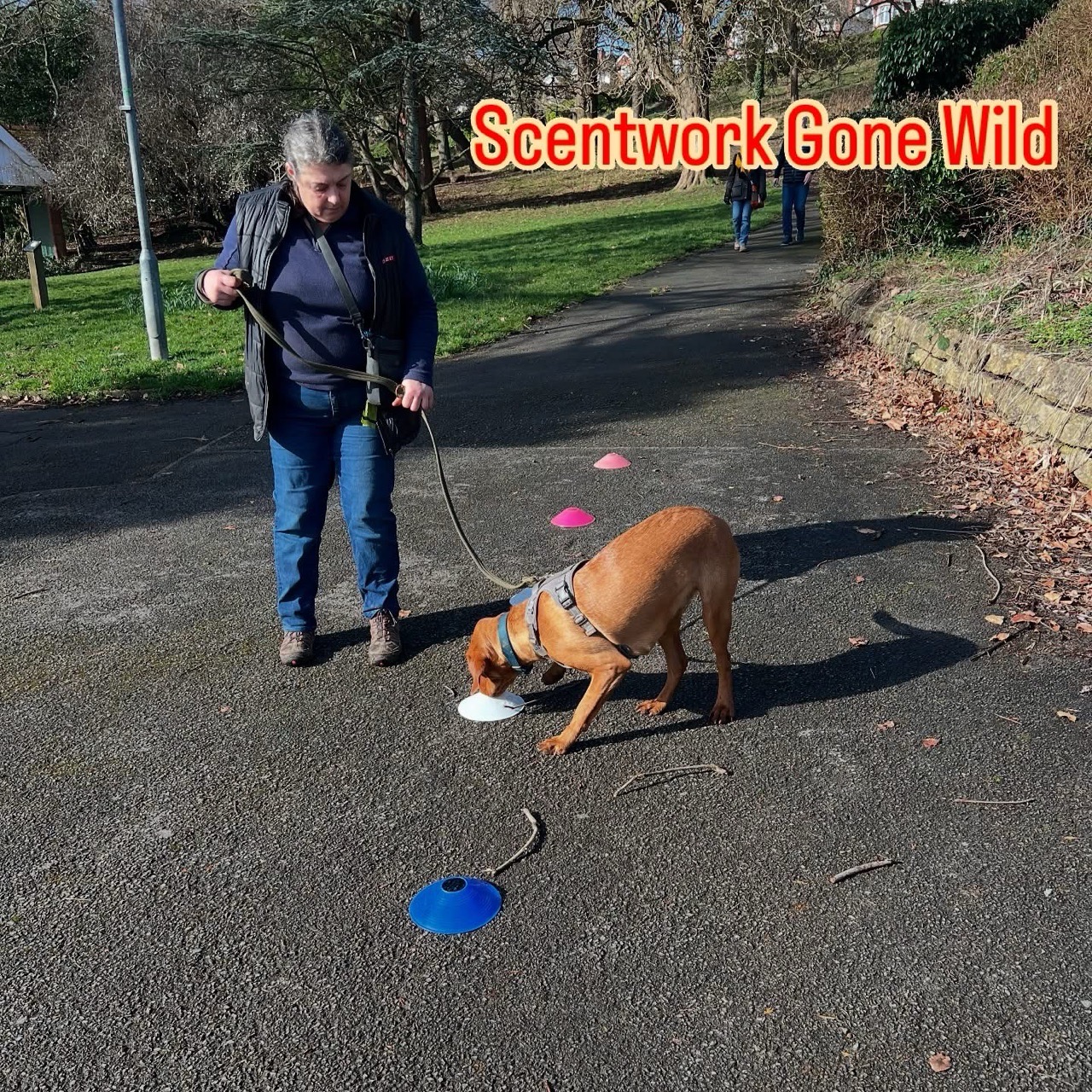 Image of Romilly Park park in Barry, Wales, United Kingdom Image of Romilly Park park in barry, wales, united-kingdom
