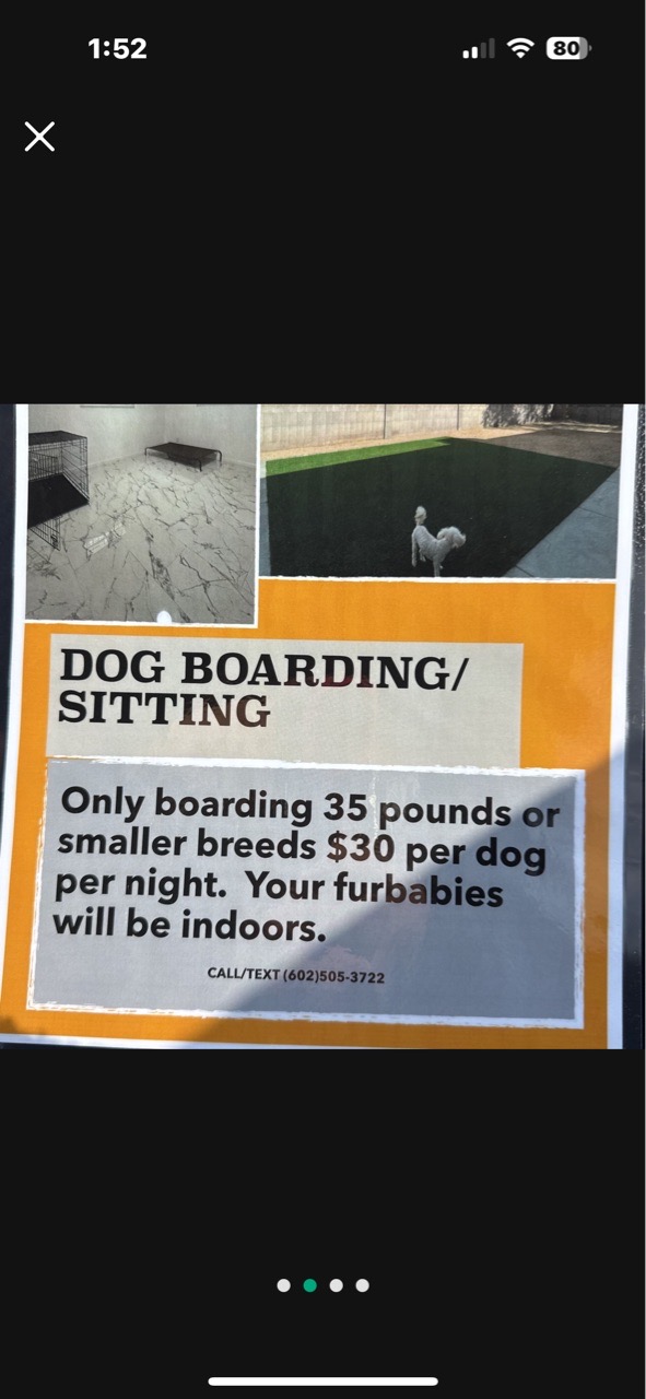 Image of Rose Mofford Dog Park park in Phoenix, Arizona, United States Image of Rose Mofford Dog Park park in phoenix, arizona, united-states