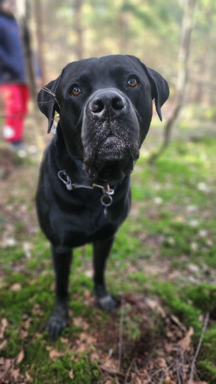 Image of Basing Wood park in basingstoke-and-deane, england, united-kingdom