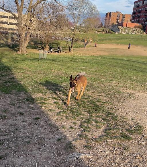 Image of Penn Valley Off Leash Dog Park park in Kansas City, Kansas, United States Image of Penn Valley Off Leash Dog Park park in kansas-city, kansas, united-states