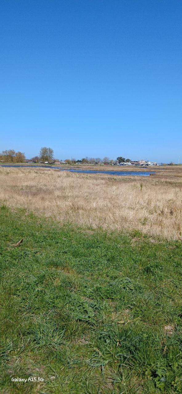 Image of RSPB Tetney Marshes park in Humberston, England, United Kingdom Image of RSPB Tetney Marshes park in humberston, england, united-kingdom