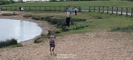 Image of Cleethorpes Country Park park in Cleethorpes, England, United Kingdom Image of Cleethorpes Country Park park in cleethorpes, england, united-kingdom