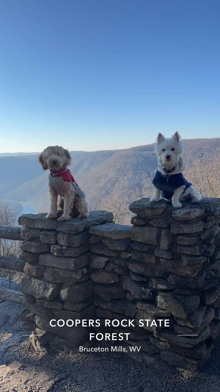 Image of Coopers Rock State Forest park in Cheat Lake, West Virginia, United States Image of Coopers Rock State Forest park in cheat-lake, west-virginia, united-states