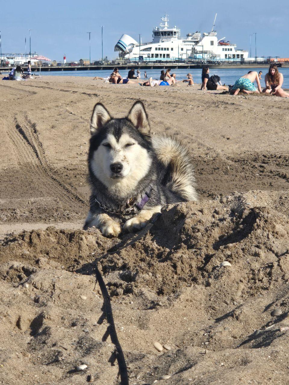 Image of Seacliff Beach park in leamington, ontario, canada