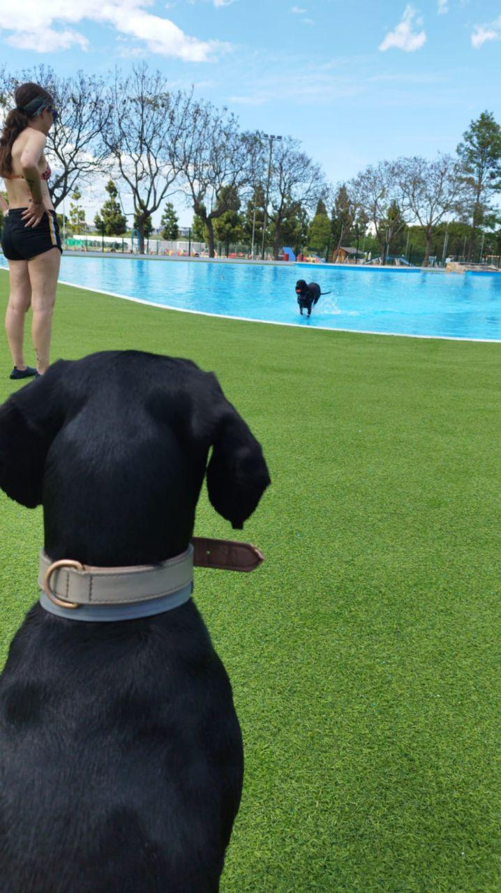 Image of Trust Resort Canino park in Ondara, Valencian Community, Spain Image of Trust Resort Canino park in ondara, valencian-community, spain