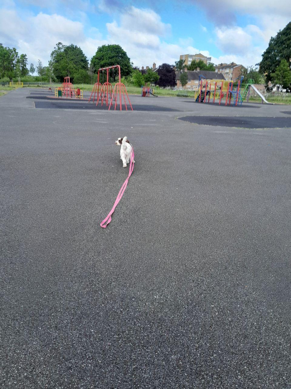 Image of Meriden Park park in Chelmsley Wood, England, United Kingdom Image of Meriden Park park in chelmsley-wood, england, united-kingdom