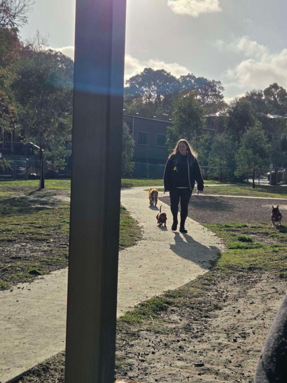 Image of Eltham North Dog Park park in Melbourne, Melbourne, Australia Image of Eltham North Dog Park park in melbourne, melbourne, australia