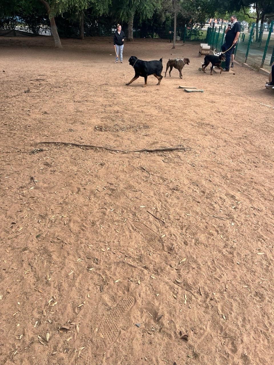 Image of Veterans Dog Park park in Imperial Beach, California, United States Image of Veterans Dog Park park in imperial-beach, california, united-states