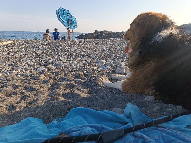Image of Spiaggia Libera Attrezzata Per Cani Lavagna park in Lavagna, Liguria, Italy Image of Spiaggia Libera Attrezzata Per Cani Lavagna park in lavagna, liguria, italy