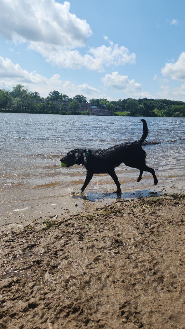 Image of Wilson Park park in st-cloud, minnesota, united-states