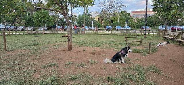 Image of Cachorródromo do Kartódromo park in São Carlos, Sao Paulo, Brazil Image of Cachorródromo do Kartódromo park in sao-carlos, sao-paulo, brazil
