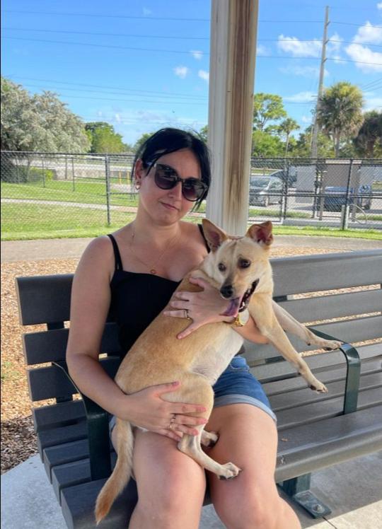 Image of Lake Woof Dog Park park in Lake Worth, Florida, United States Image of Lake Woof Dog Park park in lake-worth, florida, united-states