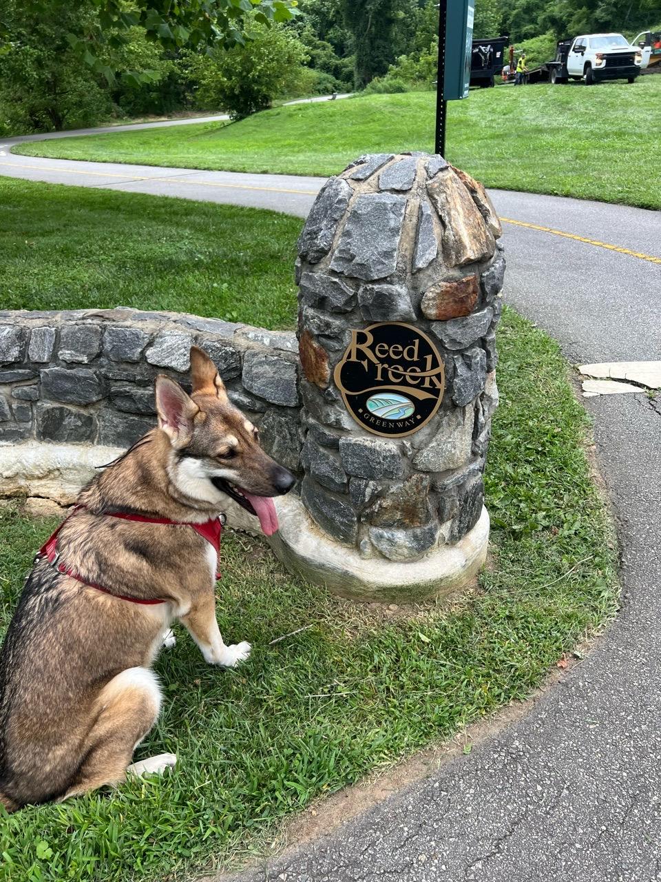 Image of Reed Creek Greenway park in Asheville, North Carolina, United States Image of Reed Creek Greenway park in asheville, north-carolina, united-states
