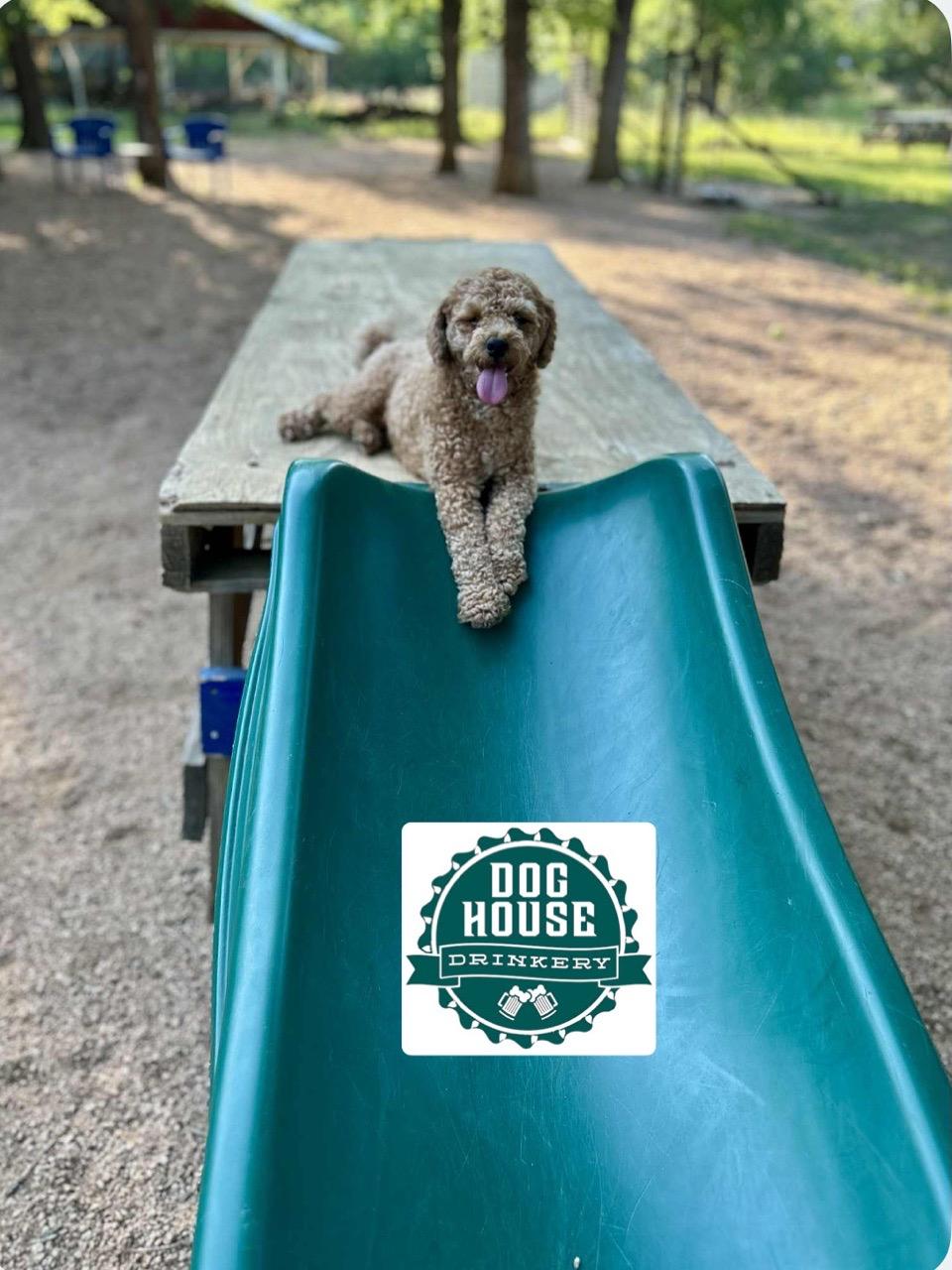 Image of Dog House Drinkery & Dog Park park in Leander, Texas, United States Image of Dog House Drinkery & Dog Park park in leander, texas, united-states