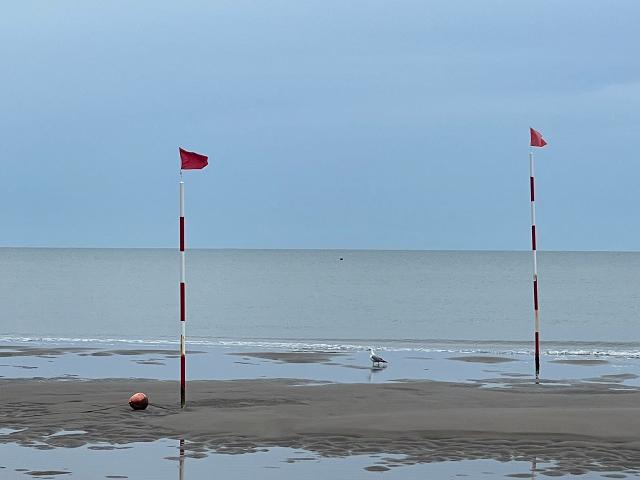 Image of Tamerici Dog spiaggia per cani park in Rosolina Mare, Veneto, Italy Image of Tamerici Dog spiaggia per cani park in rosolina-mare, veneto, italy