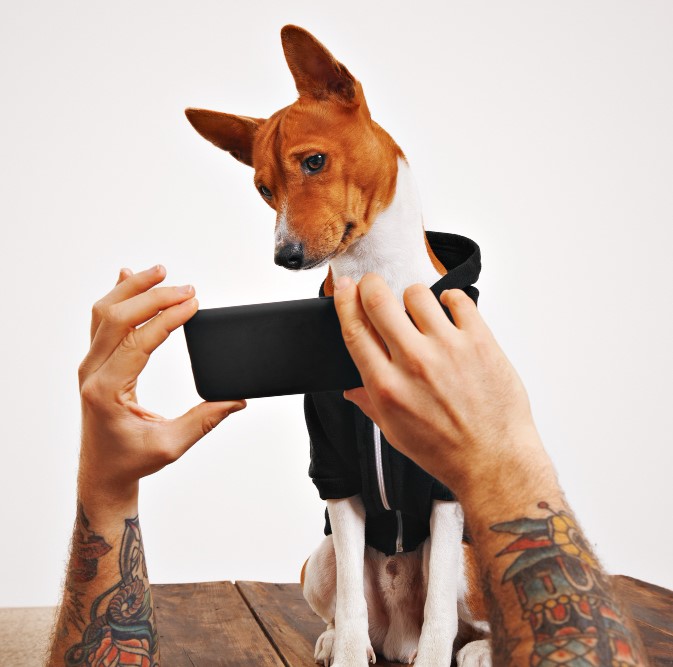 10 Creative Ways to Advertise Your Dog Grooming Business DogPack