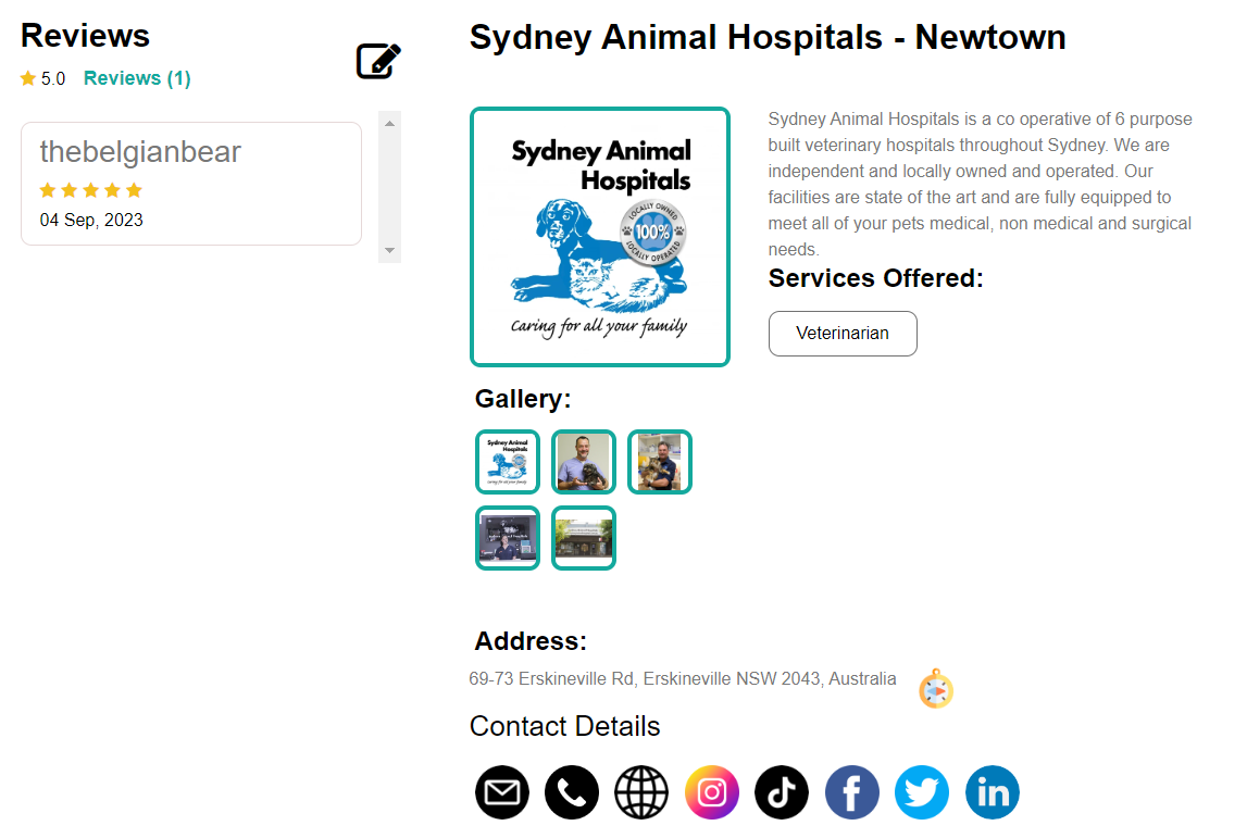 Business Pin Page website