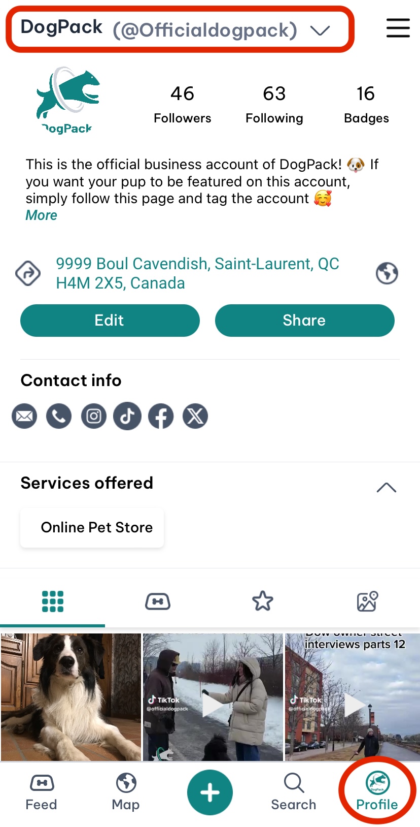 profile tab and profile name circled