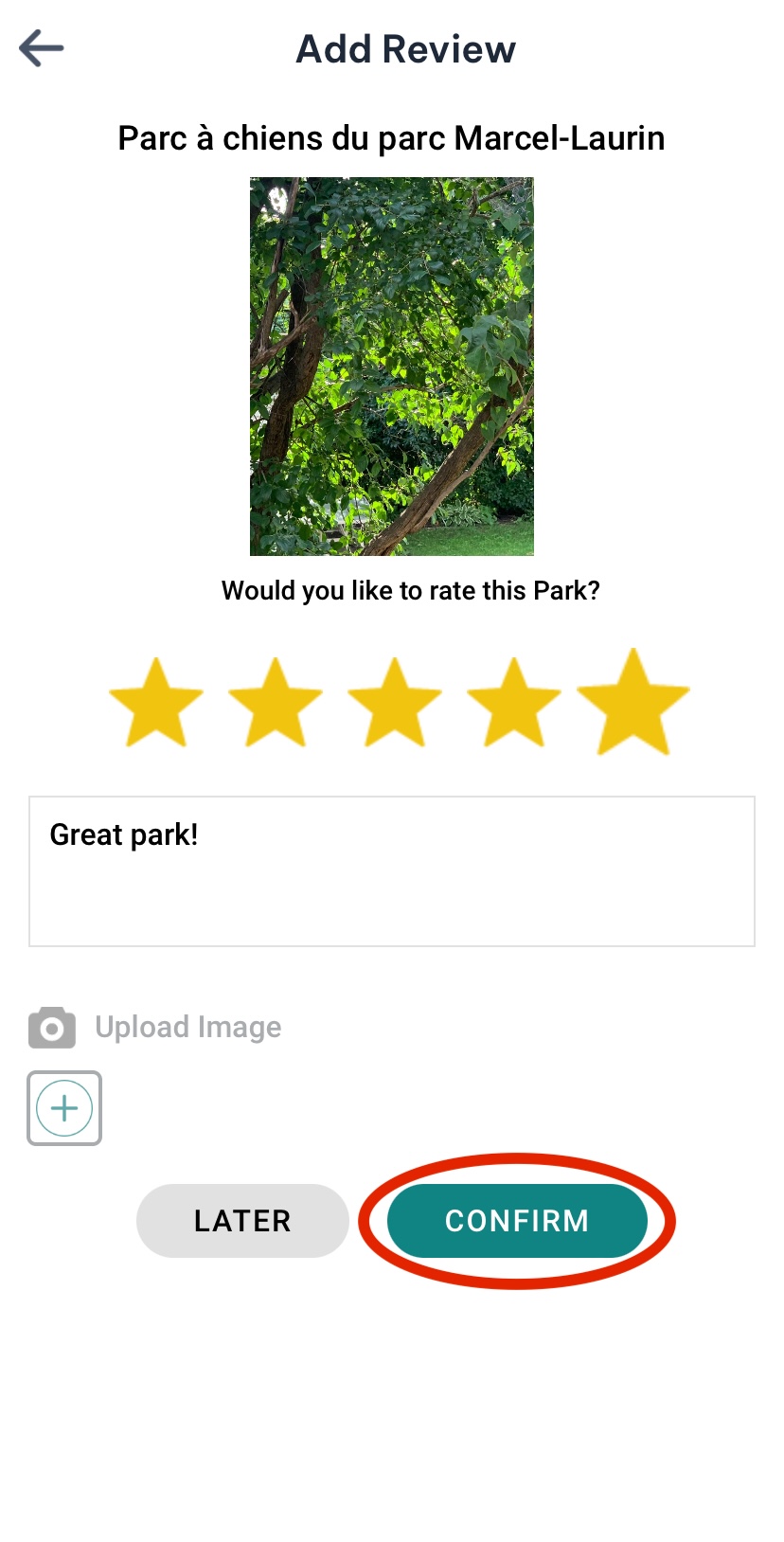 rating a park stars