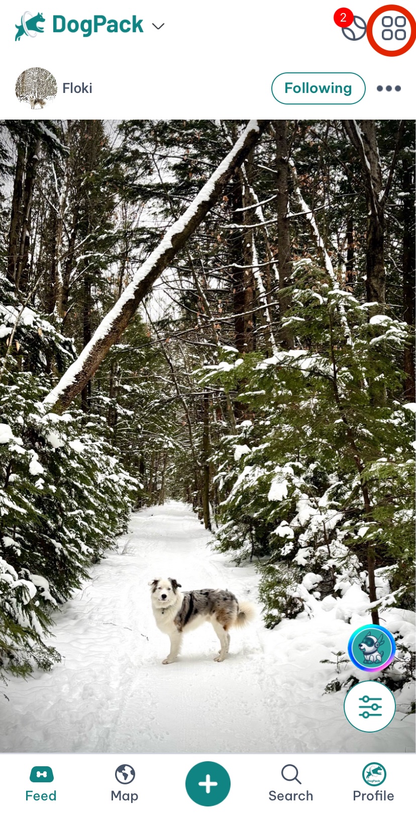 Explore suggest missing dog park