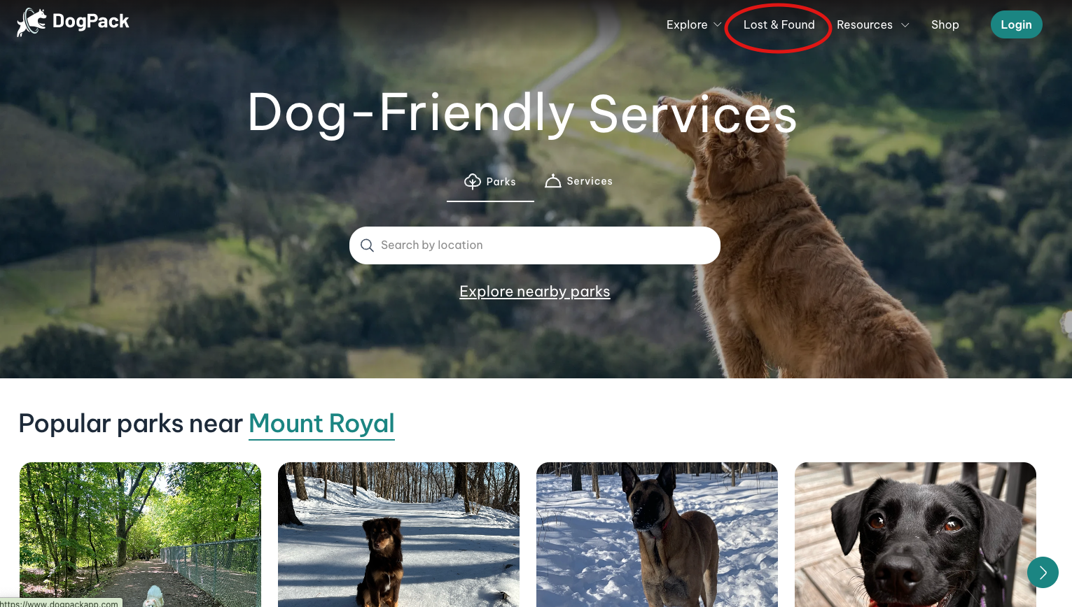Web lost and found circled
