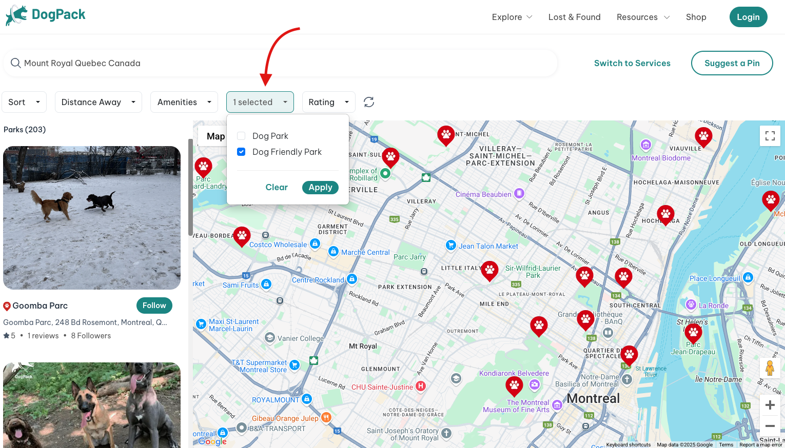 Web dog friendly area