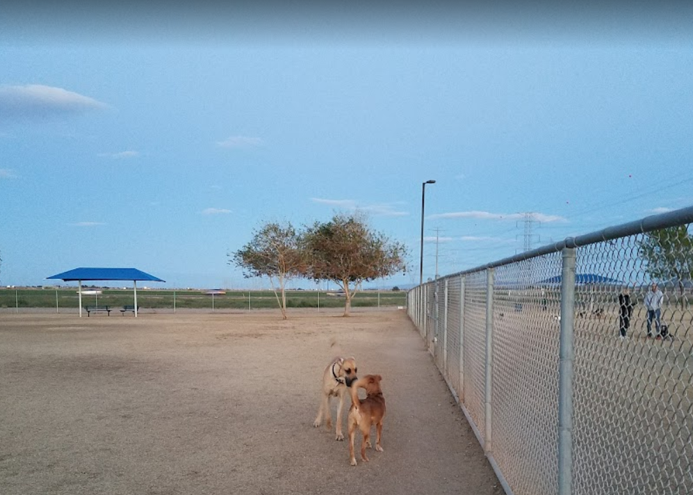 Roscoe Dog Park DogPack