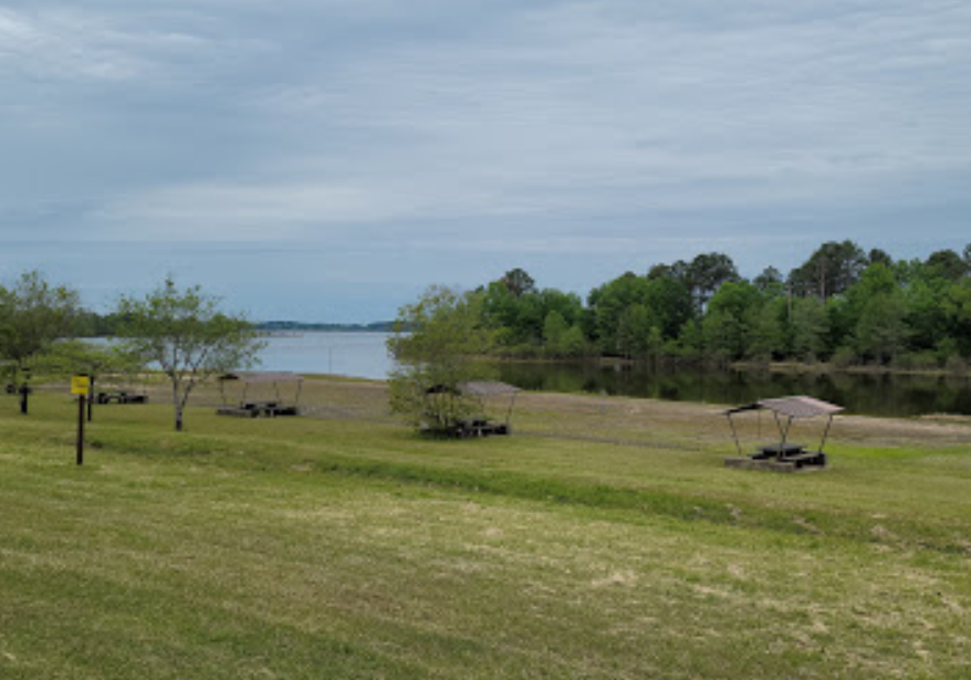 Best Dog Parks in Gilmer, Texas