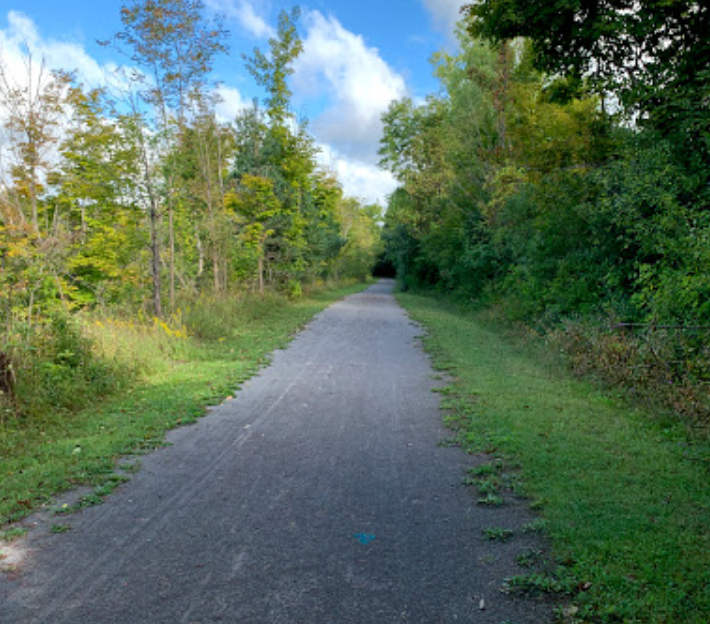 Best Dog Parks in Clifton Springs, New York