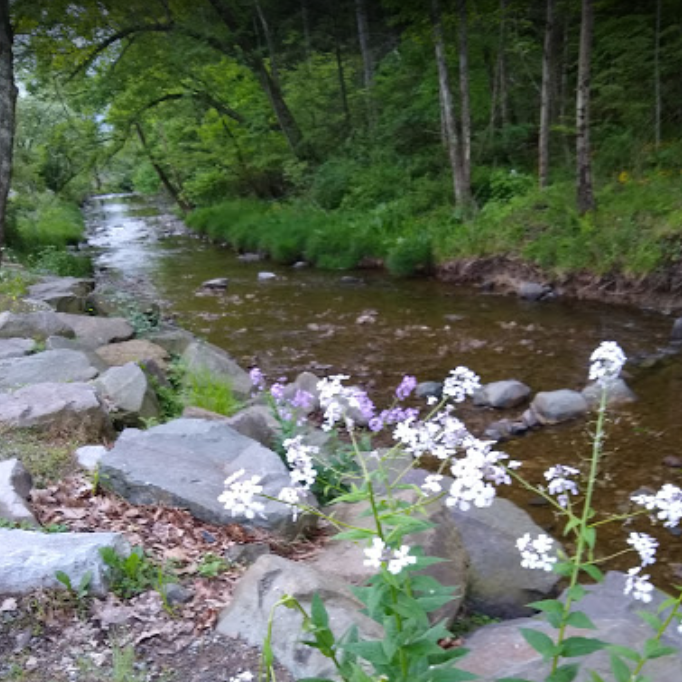 Best Dog Parks in Hopewell borough, Pennsylvania