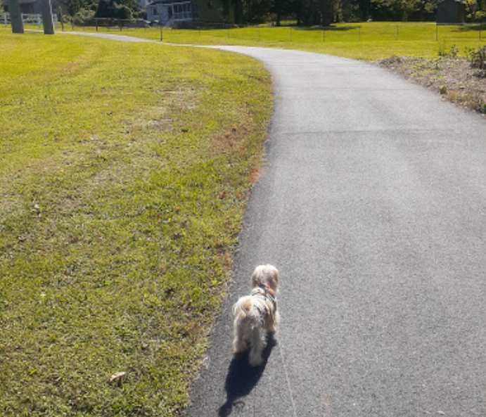 Lake City Community Park DogPack