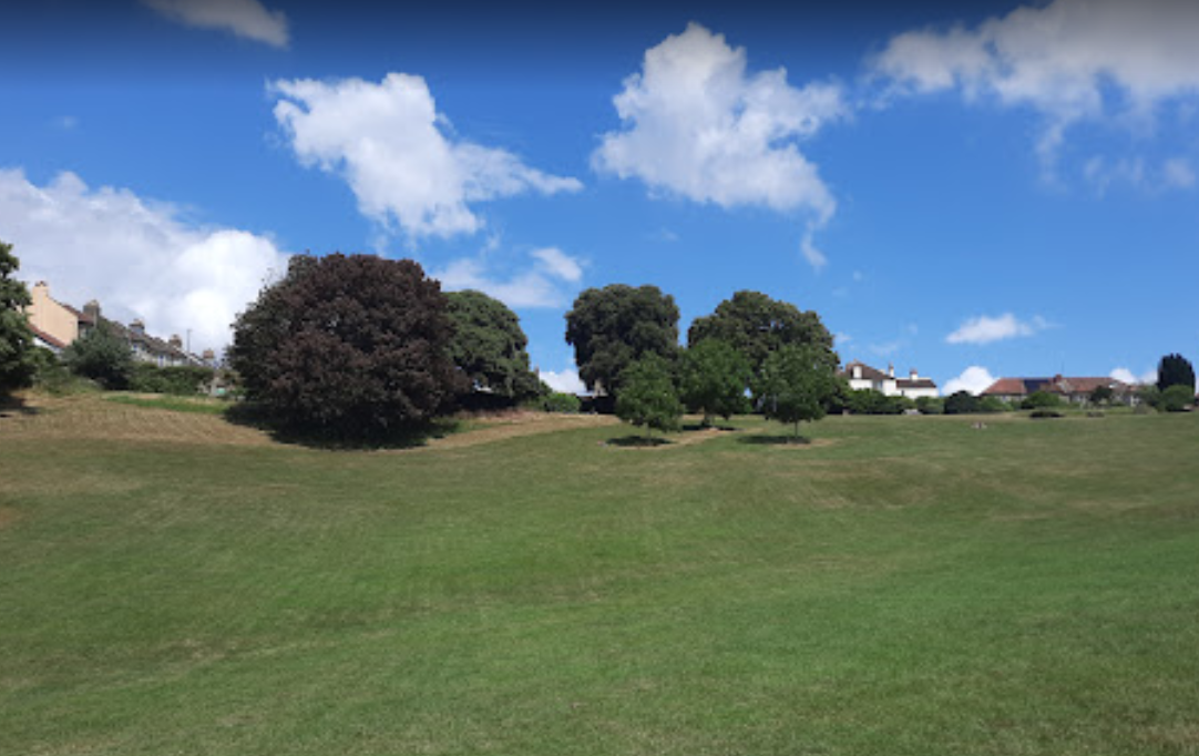 Kings Head Lane Park DogPack