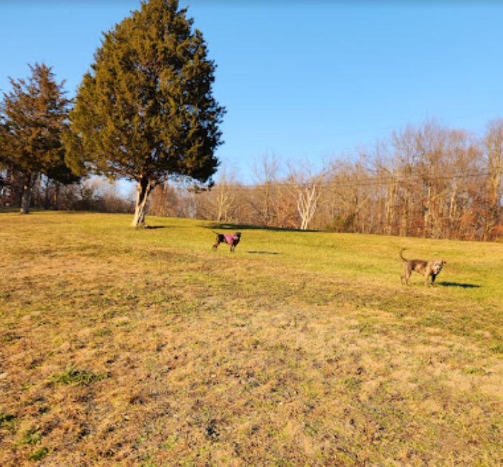 Best Dog Parks in New Paltz village, New York