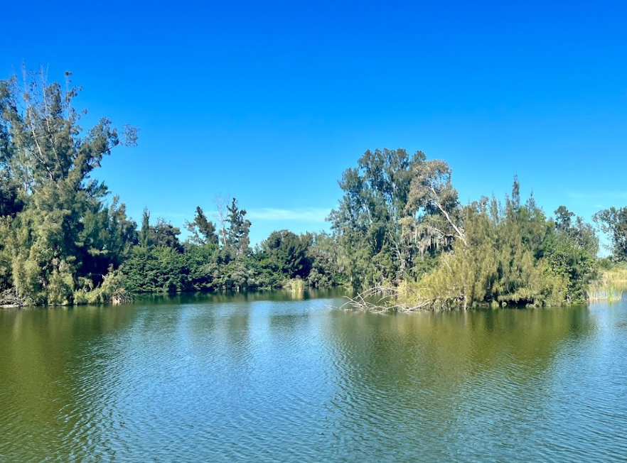 Best Dog Parks in Cape Coral, Florida