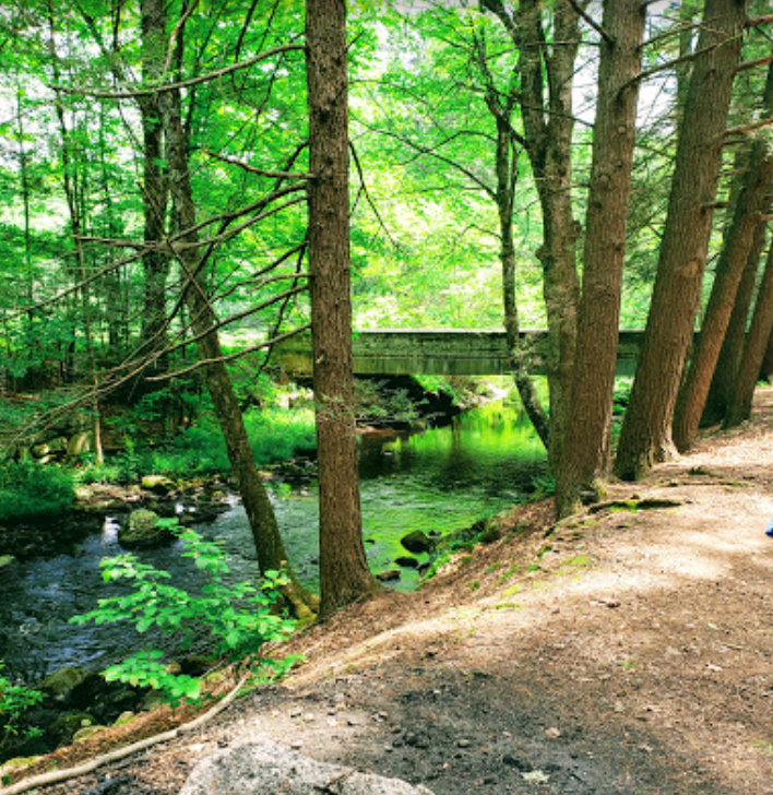 John A State Park DogPack