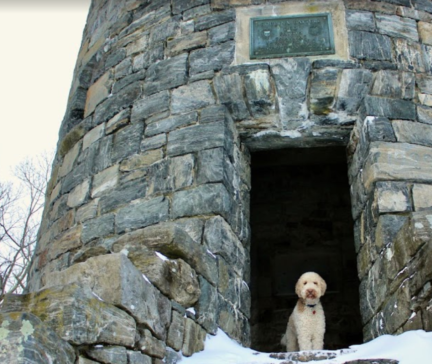 John A State Park DogPack