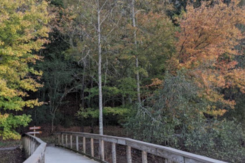 Cosby Lake Park DogPack