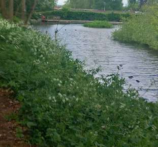 Image of Blurton Mill Pond park in Stoke-on-Trent, England, United Kingdom Image of Blurton Mill Pond park in stoke-on-trent, england, united-kingdom