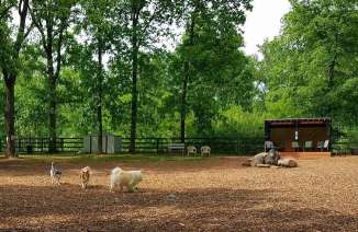 Image of Vint Hill Dog Park park in Warrenton, Virginia, United States Image of Vint Hill Dog Park park in warrenton, virginia, united-states