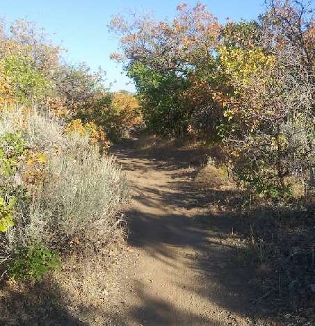 Image of Wilderness Park Trail park in Kaysville, Utah, United States Image of Wilderness Park Trail park in kaysville, utah, united-states