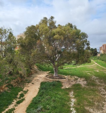 Image of Barranco de Paiporta park in Paiporta, Valencia, Spain Image of Barranco de Paiporta park in paiporta, valencia, spain