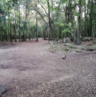 Image of Parc naturel départemental du Sinodon park in Roquefort-les-Pins, Provence-Alpes-Côte d'Azur, France Image of Parc naturel départemental du Sinodon park in roquefort-les-pins, provence-alpes-cote-dazur, france